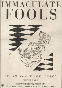 Immaculate Fools Image