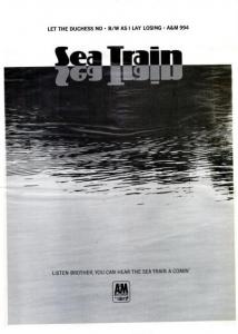 Sea Train Image