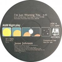 Jesse Johnson: I'm Just Wanting You U.S. 12-inch
