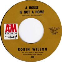 Robin Wilson: A House Is Not a Home US 7-inch
