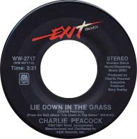 Charlie Peacock: Lie Down In the Grass U.S. 7-inch