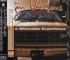 Gin Blossoms: New Miserable Experience Japan CD album