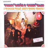 Tommy Boyce & Bobby Hart: I Wonder What She's Doing Tonite? U.S. mono album