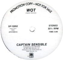 Captain Sensible: Wot U.S. promotional 12-inch