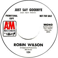 Robin Wilson: Just Say Goodbye U.S. promotional 7-inch