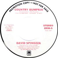 David Spinozza: Country Bumpkin U.S. promotional 7-inch