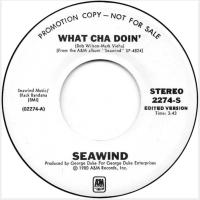 Seawind: What Cha Doin' U.S. promotional 7-inch