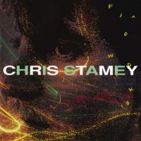 Chris Stamey 