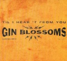 Gin Blossoms CD