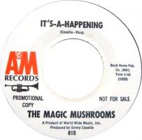 Magic Mushrooms Promo