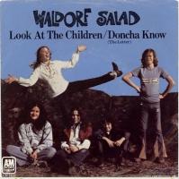 Waldorf Salad 