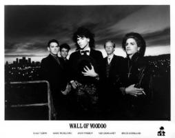 Wall of Voodoo Publicity Photo