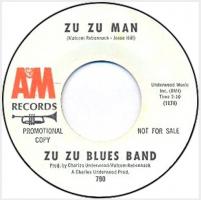 Zu Zu Blues Band Promo